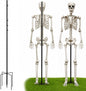 Metal Skeleton Pose Stand, Widened Halloween Skeleton Stand for 5.4Ft