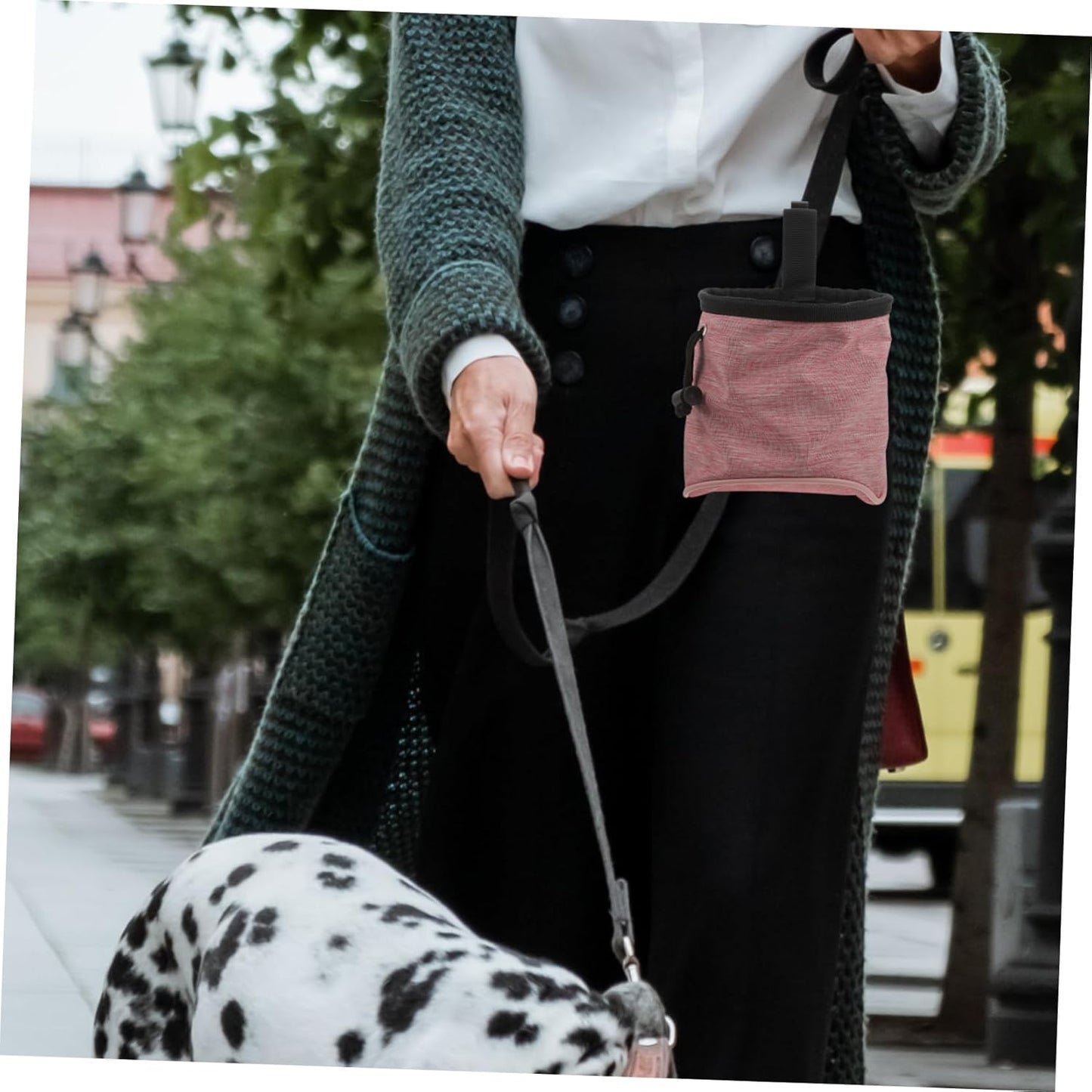 VERDANVERSE Treat Container for Puppy Training Treats Dog Walking Fanny Pack Easy Access to