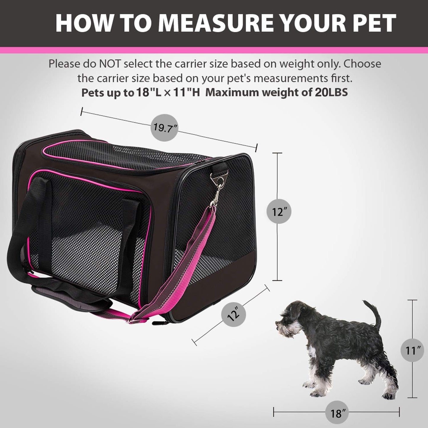 Aivituvin Dog Carrier Airline Approved Soft Sided Pet Carriers, Collapsible Travel Cat Carrier for Medium Cats and Puppies (Green Large)