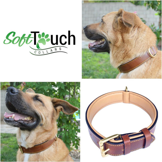 Soft Touch Collars Padded Leather Dog Collar, Large Brown - Genuine Real Leather, 24" Long x 1.5 Wide, Fits Neck Size 18" to 21" Inches - PuriLite