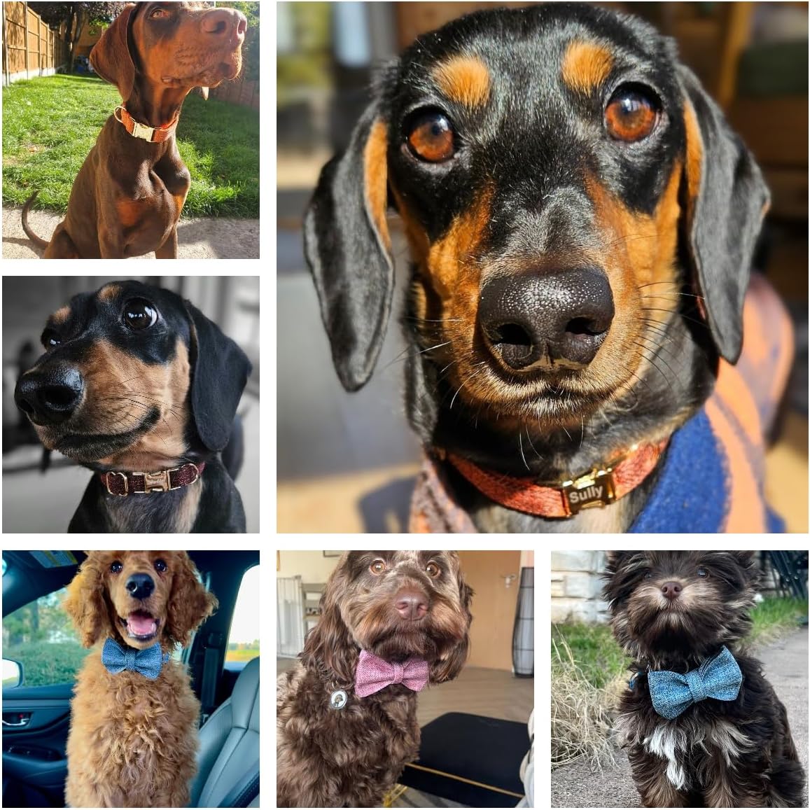 Custom Engraved Dog Collar with Name and Phone Number, Personalized for Small, Medium, and Large Dogs (Plaid)