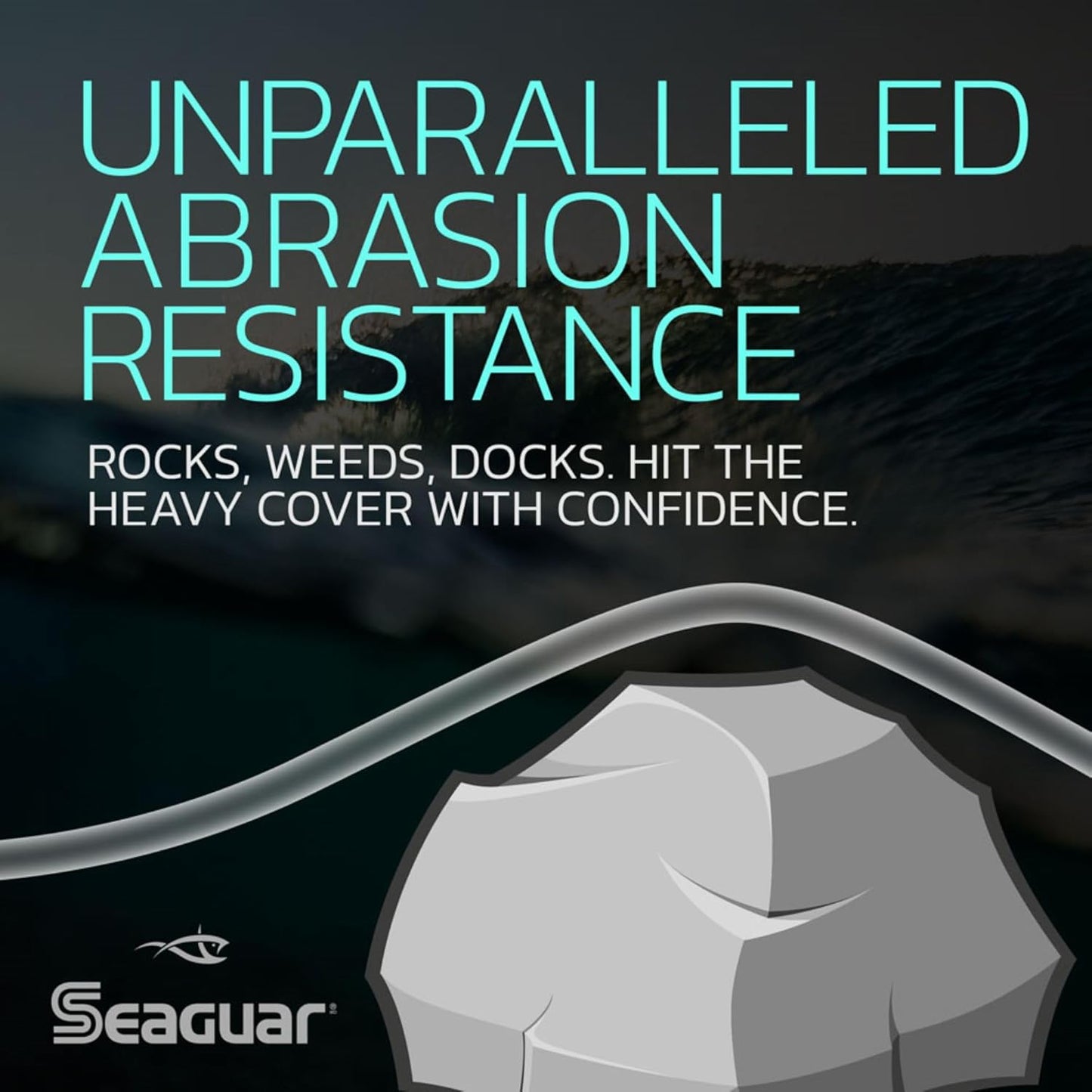 SeaguarFluorocarbon Fishing Line