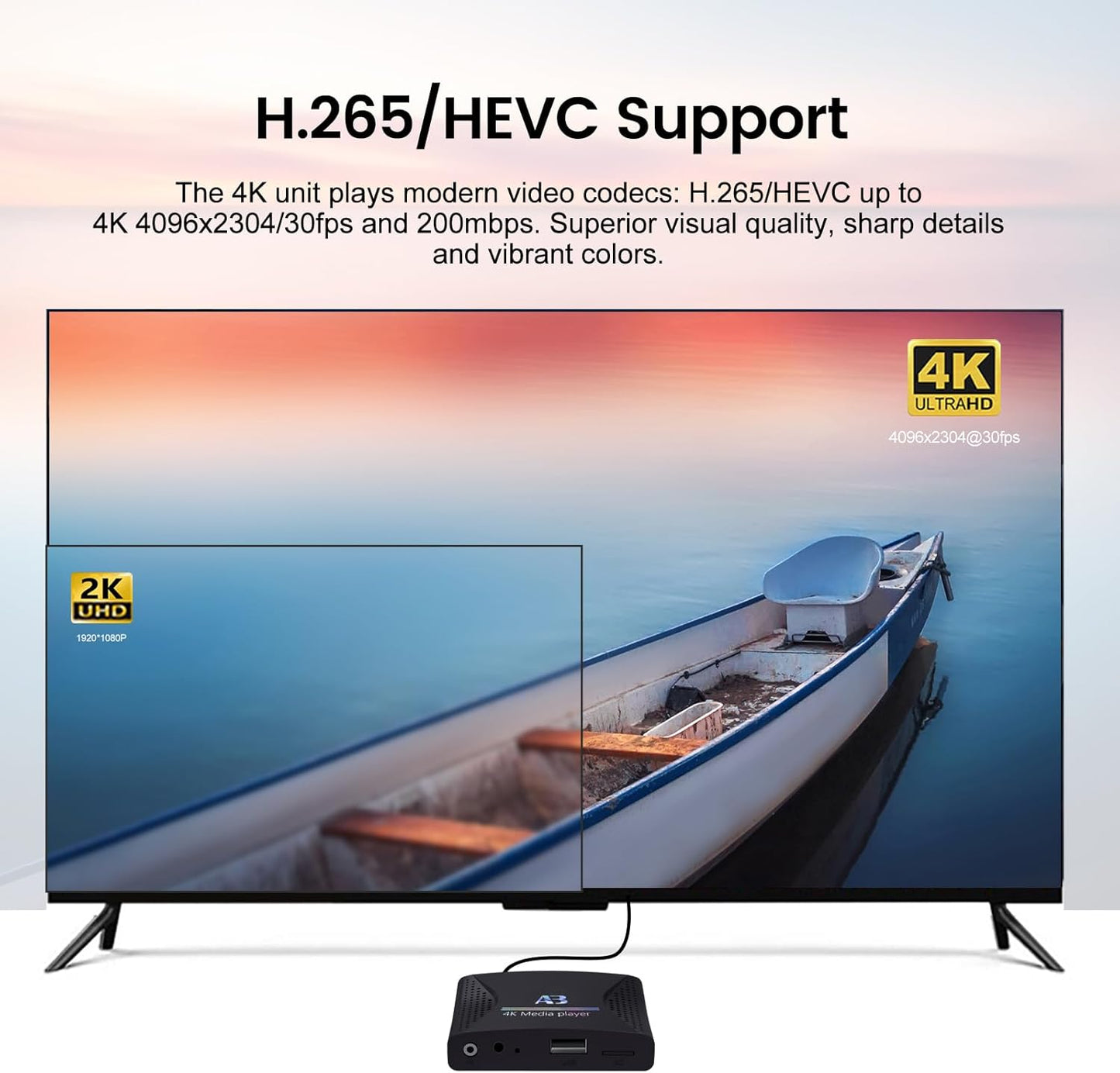 4K Ultra HD Digital Media Player for USB Drives and microSD Cards,Featuring HDMl and Analogy AV,Digital Signage,with Automatic Playback,Resume and Looping Capability for H.265 Videos,Music and Photos