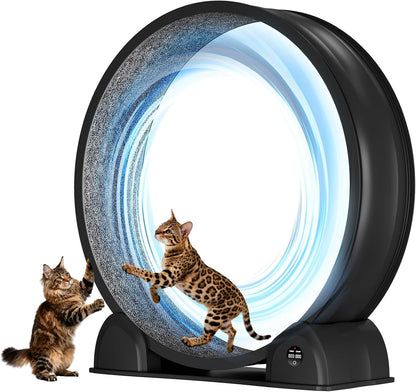 Cat Exercise Wheel with Pedometer, 44" Large Cat Running Treadmill with Carpeted Runway for Indoor Cats Up to 30 lbs, Small Animal Health & Fitness (No Electronics) (Black-Gray Carpet)