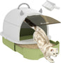 PawHut Cat Litter Box with Lid, Drawer Style Enclosed Kitty Litter Box with Front Door Flap, Scoop, Handle, Easy Clean, Cat Litter Tray for Small and Medium Cats, Green