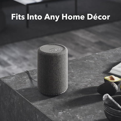 Audio Pro A10 MKII Wireless Multiroom Speaker, WiiM Edition | High Fidelity, Bluetooth, WiFi | Compatible with AirPlay 2, Google Cast, Siri, WiiM Home App, Stream Spotify, Tidal & More, Dark Gray