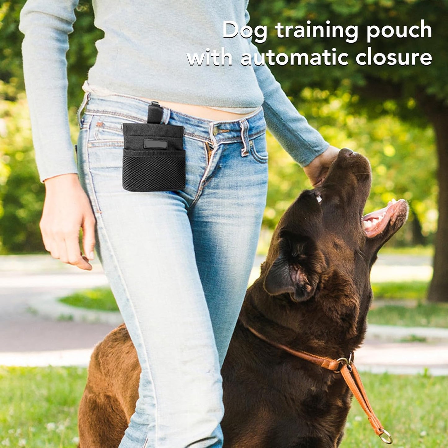 Dog Treat Waist Pouch, Dog Treat Bag Multiple Pockets Dog Treat Carrier Holder with Belt Clip for Puppy Dog Outdoor Walking Training Behavior Aids (Black)