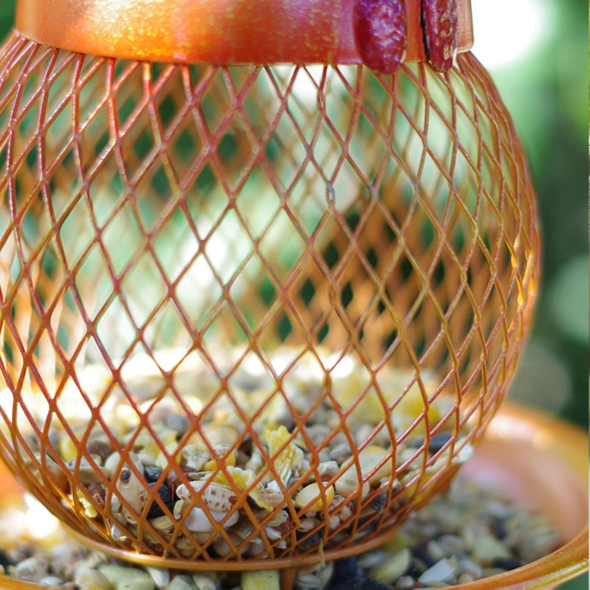 Bird Feeders for Small Birds Squirrel Proof Pet Supplies Birdfeeder Wall Mounted Bird Feeder Window Bird Feeders for Small Birds for Garden, Balcony and Shed,Gold