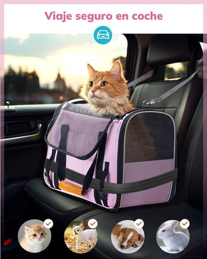 Morpilot Cat Carrier Soft - Portable Pet Carrier for Small or Medium Cats, Dogs and Puppy up to 14lbs, Airline Approved Dog Carrier with Safety Buckle - (Dark Gray)