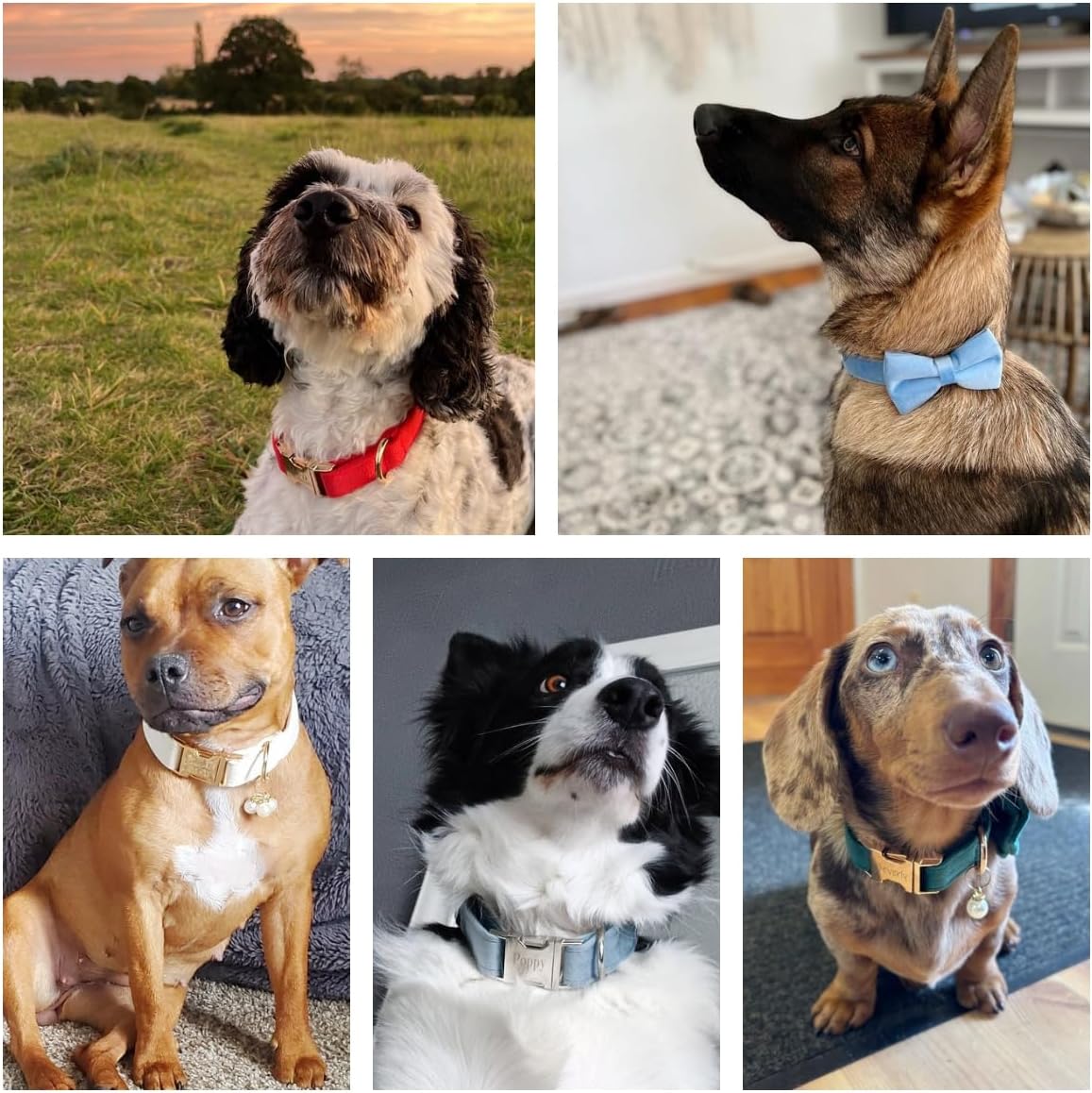 Custom Engraved Dog Collar with Name and Phone Number, Personalized for Small, Medium, and Large Dogs (Plaid)
