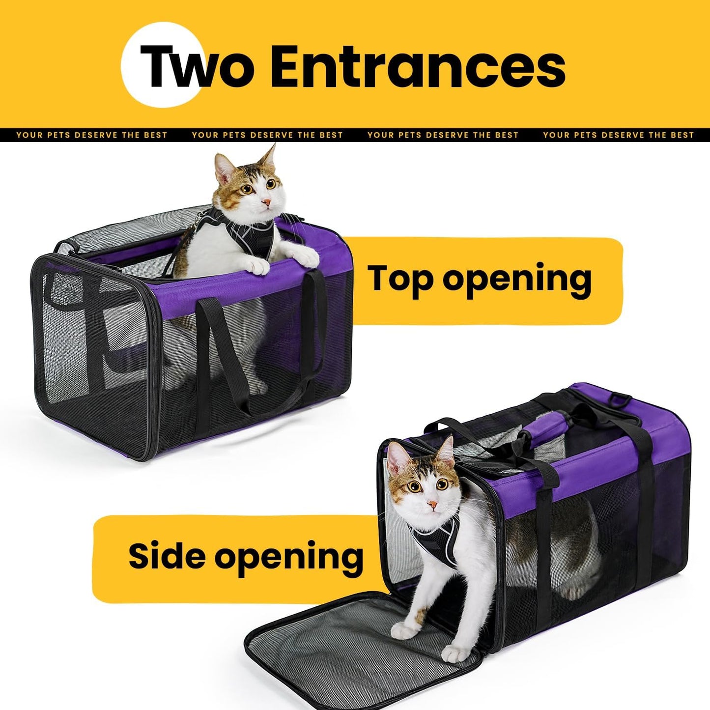 Conlun Cat Carrier Bag,Soft-Sided Pet Carriers for Dogs with 4-Sided Mesh,Airline Approved Cat Transport Carrier for Small&Medium Cats Kitten Puppy Up to 6Kg,Collapsible Cat Travel Carrier-M,Black