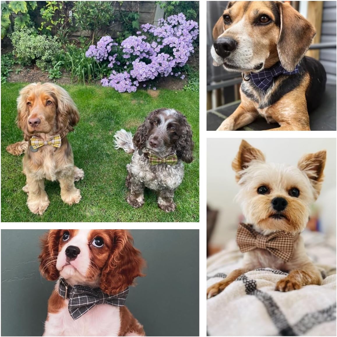 Custom Engraved Dog Collar with Name and Phone Number, Personalized for Small, Medium, and Large Dogs (Plaid)