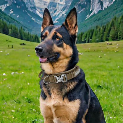 EXCELLENT ELITE SPANKER Tactical Dog Collar Nylon Adjustable K9 Collar Military Dog Collar Heavy Duty Metal Buckle with Handle(Coyote Brown-XL)