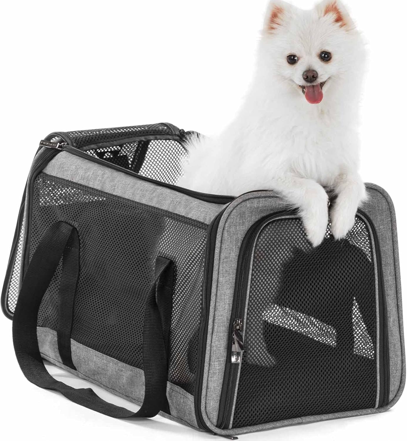 Petsfit Pet Carrier Airline Approved, Soft-Sided Cat Carrier with Patented Car Buckle, Lightweight and Collapsible with Adjustable Shoulder Strap, Soft Cushion,Green