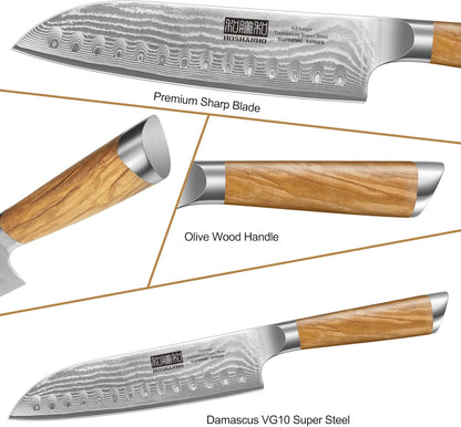 HOSHANHO Damascus Fillet Knife 7 Inch, Professional VG-10 Super Steel Boning Knife, Ultra Sharp Fish Knife with Ergonomic Handle