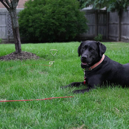 BV Pet Small Tie Out Cable for Dog up to 35 Pound, 25-Feet