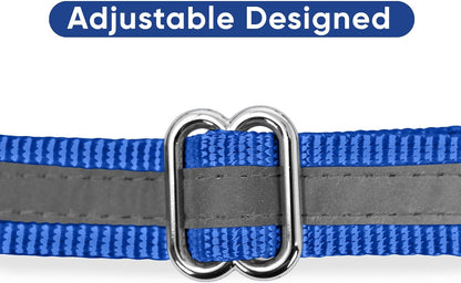 Pawtitas Chain Martingale Dog Collar Puppy Collar Reflective Dog Collar Training Dog Collar Behavioral Dog Chain Collar Collar Medium Dog Collar Green Dog Collar