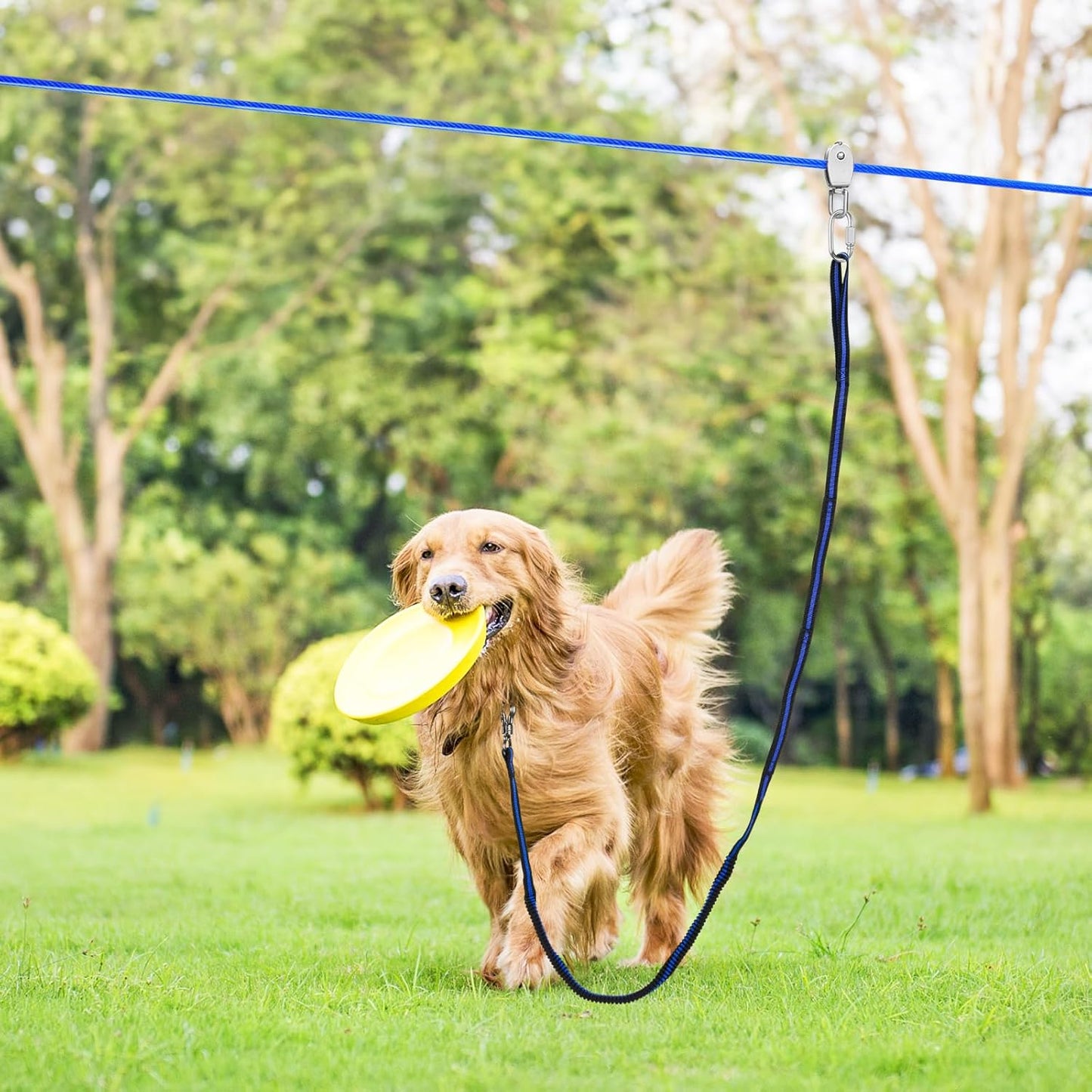XiaZ Dog Runner Cable Dog Run Trolley Tie Out Cable Dog Chains for Outside Yard Camping Up to 250 Pound, 20 Feet