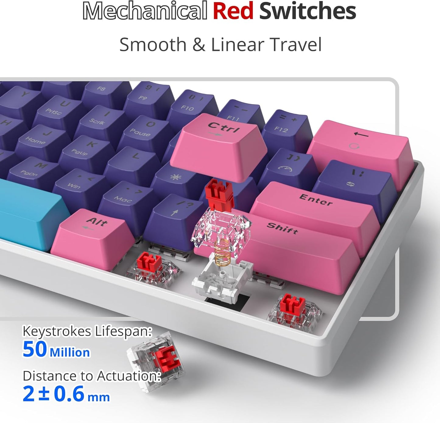 Fogruaden Full Size Mechanical Keyboard, Green Matcha Keyboard, Wired USB 104 Keys RGB Backlit Gaming Keyboard with Number Pad, Red Switches, NKRO Mechanical Keyboard for Windows Laptop PC Gamer