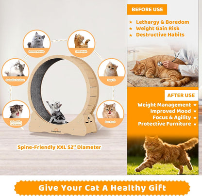 Homegroove Cat Wheels for Indoor Cats, Cat Exercise Wheel Treadmill with Carpeted Runway, Cat Running Wheel for Kitty’s Longer Life, Fitness Weight Loss Device, (XXL, Natural Wood)