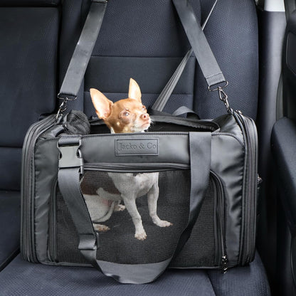 JACKO & CO - Premium Dog & Cat Carrier, TSA Airline Approved with Luggage Loop, Soft-Sided Travel Carrier Bag for Pets, Small Dogs, Puppies, Kittens up to 10lbs, Ventilated Windows & Fully Collapsible