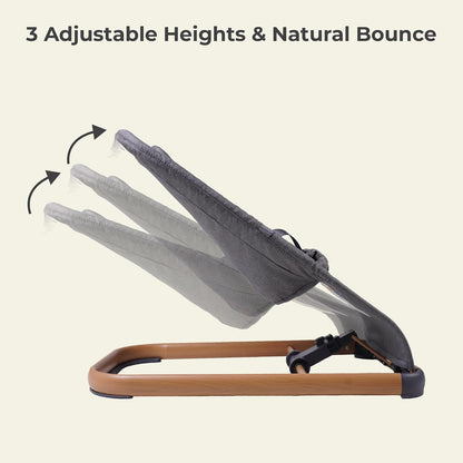 Portable Baby Bouncer Seat for Newborns | 3 Recline Positions, Safety Harness & Washable Cover