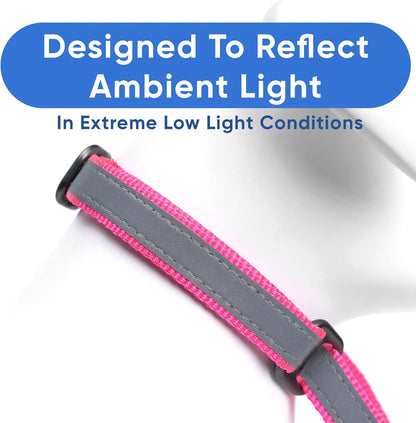 Pawtitas Chain Martingale Dog Collar Puppy Collar Reflective Dog Collar Training Dog Collar Behavioral Dog Chain Collar Collar Medium Dog Collar Green Dog Collar