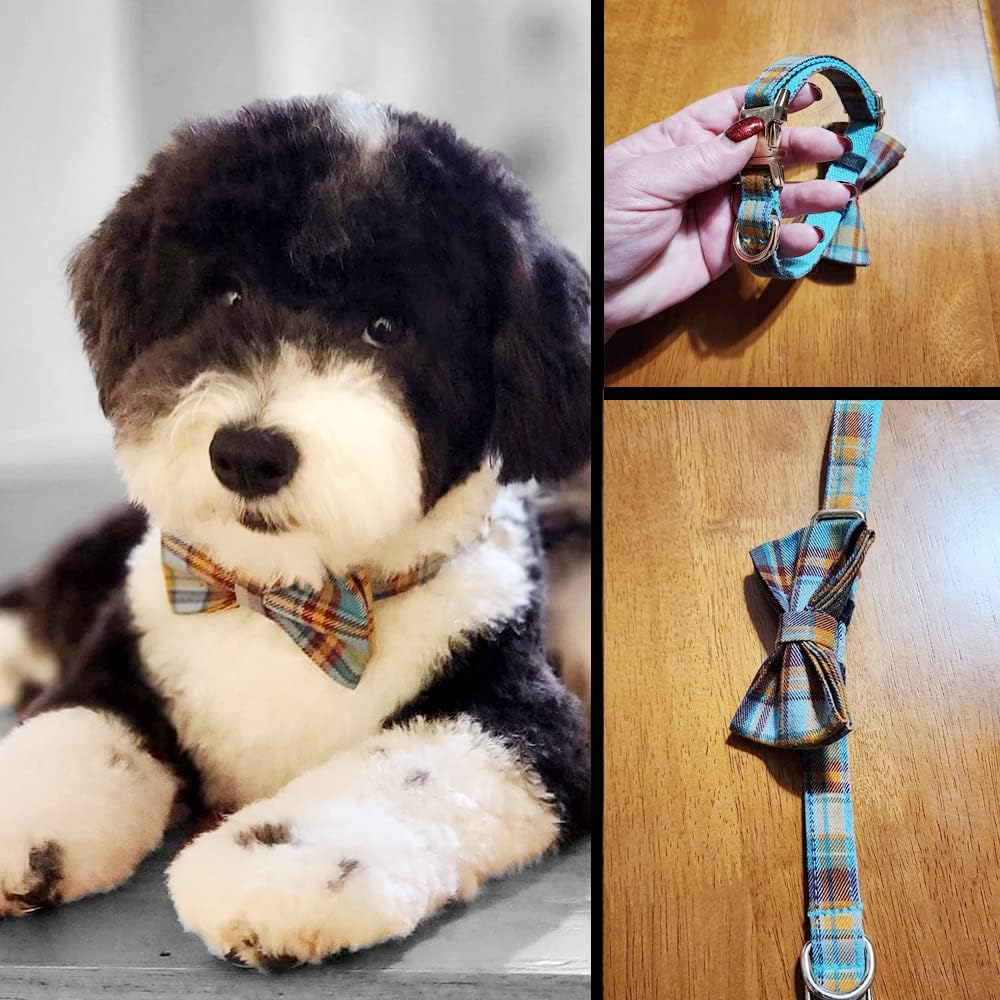 Custom Dog Collar with Metal Buckle - Pet Collars Personalized with Name and Phone Number (Plaid)