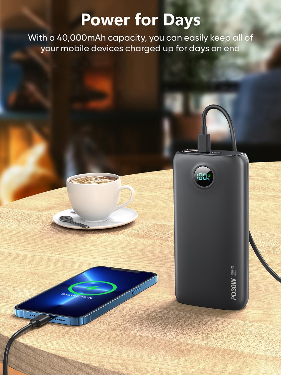 Portable Charger with Built in Cable Power Bank 40000mAh PD 30W Fast Charger Battery Pack Built-in Type-C/iOS Cable and Flashlight Compatible with iPhone Samsung Google iPad etc