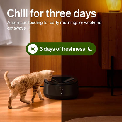 PETLIBRO Automatic Cat Feeder for Wet Food with Stainless Steel Bowl