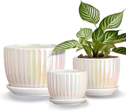 Purilite Select 3-Piece Ceramic Indoor Planter Set