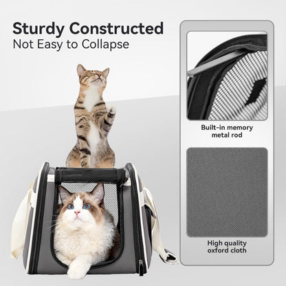 PETSFIT Airline Approved Dog Carrier with Wheels Designed for Small Dogs/Cats with Adjustable Safety Rope & Removable Wheels,Grey
