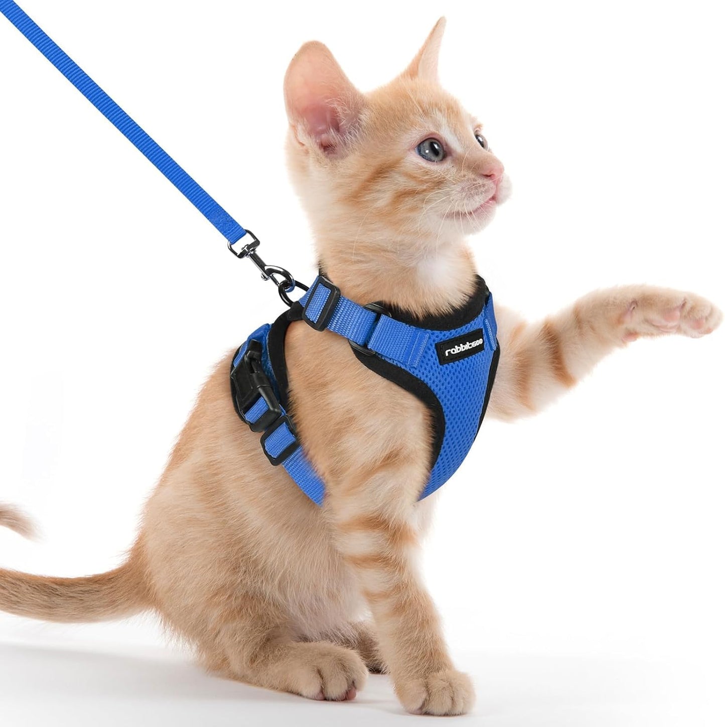 rabbitgoo Cat Harness and Leash for Walking, Escape Proof Soft Adjustable Vest Harnesses for Small Medium Cats, Easy Control Breathable Reflective Strips Jacket, XS, Black