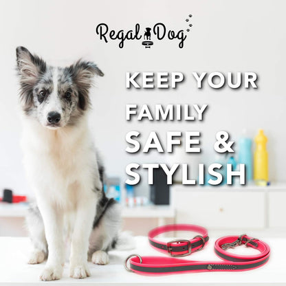 Regal Dog Products Heavy Duty Reflective Dog Collar – Adjustable and with Durable Metal Buckle and Rings Anti-Odor, chew Resistant, Waterproof Dog Collar for Small Medium and Large Dogs (Large, Pink)