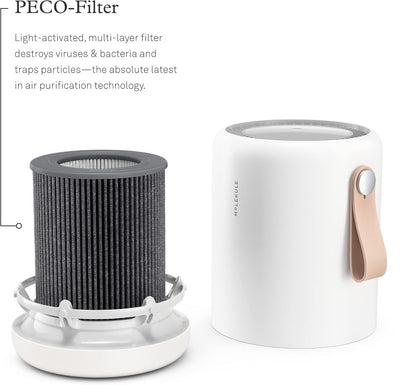 Molekule Air Mini & Air Mini+ – PECO-Filter