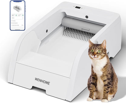 WENHOME Open-Top Automatic Cat Litter Box, Large Capacity Self-Cleaning with APP Control, Safety Anti-Pinch Design, Odor Control & Easy to Maintain