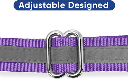 Pawtitas Chain Martingale Dog Collar Puppy Collar Reflective Dog Collar Training Dog Collar Behavioral Dog Chain Collar Collar Medium Dog Collar Green Dog Collar