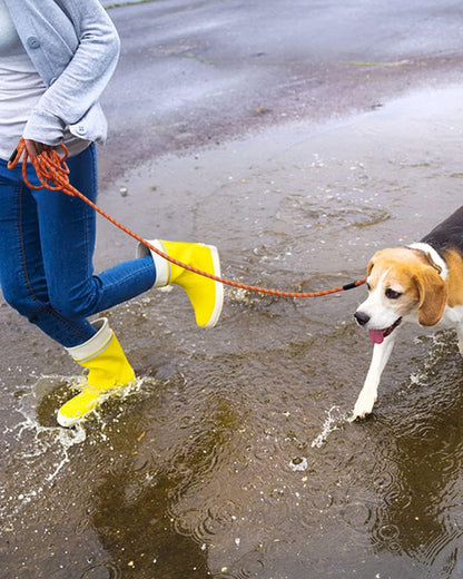 Long Rope Leash for Dog Training 10FT 16FT 30FT 50FT 100FT, Reflective Threads Check Cord Dog Leash Tie-Out Cable, Heavy Duty Dog Lead for Large Medium Small Dogs Outside Walking, Playing, Camping, or Yard