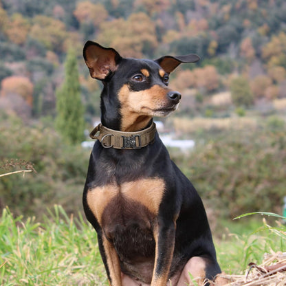 EXCELLENT ELITE SPANKER Tactical Dog Collar Nylon Adjustable K9 Collar Military Dog Collar Heavy Duty Metal Buckle with Handle(Coyote Brown-XL)
