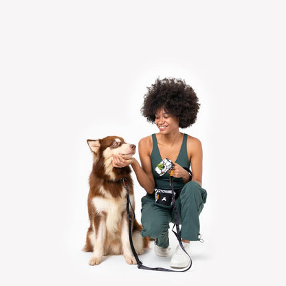 OllyDog Goodie Treat Bag, Dog Treat Pouch, Waist Belt Clip for Hands-Free Training, Magnetic Closure, Dog Training and Behavior Aids, Three Ways to Wear (Raven S'25)