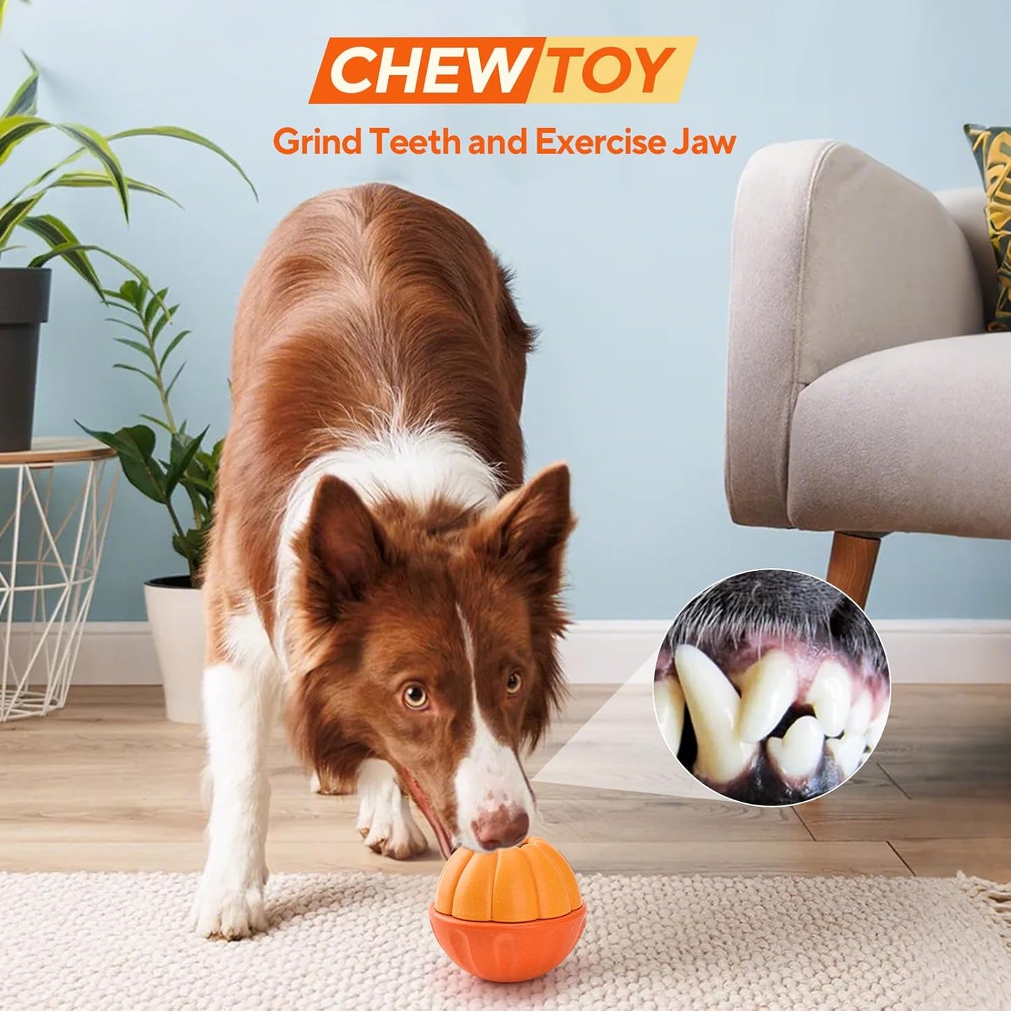 LIFLIX 3 in 1 Frozen Treat Ball, Durable Enrichment Dog Toys, Nylon Chew Toys for Small Medium Large Dogs, Treat Dispensing Dog Toys to Keep Them Busy