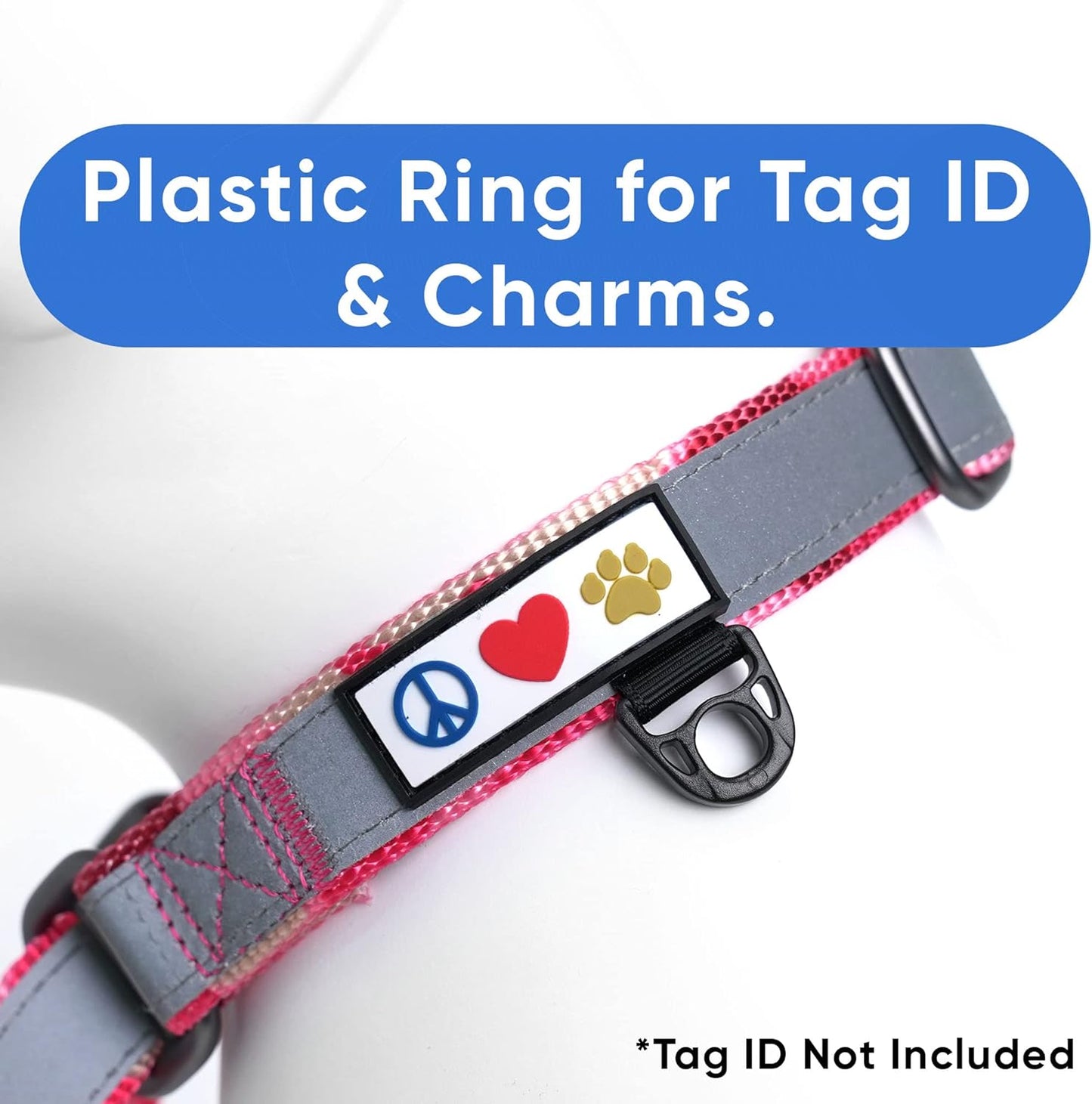 Pawtitas Chain Martingale Dog Collar Puppy Collar Reflective Dog Collar Training Dog Collar Behavioral Dog Chain Collar Collar Large Dog Collar Orange Dog Collar