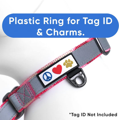 Pawtitas Chain Martingale Dog Collar Puppy Collar Reflective Dog Collar Training Dog Collar Behavioral Dog Chain Collar Collar Large Dog Collar Orange Dog Collar
