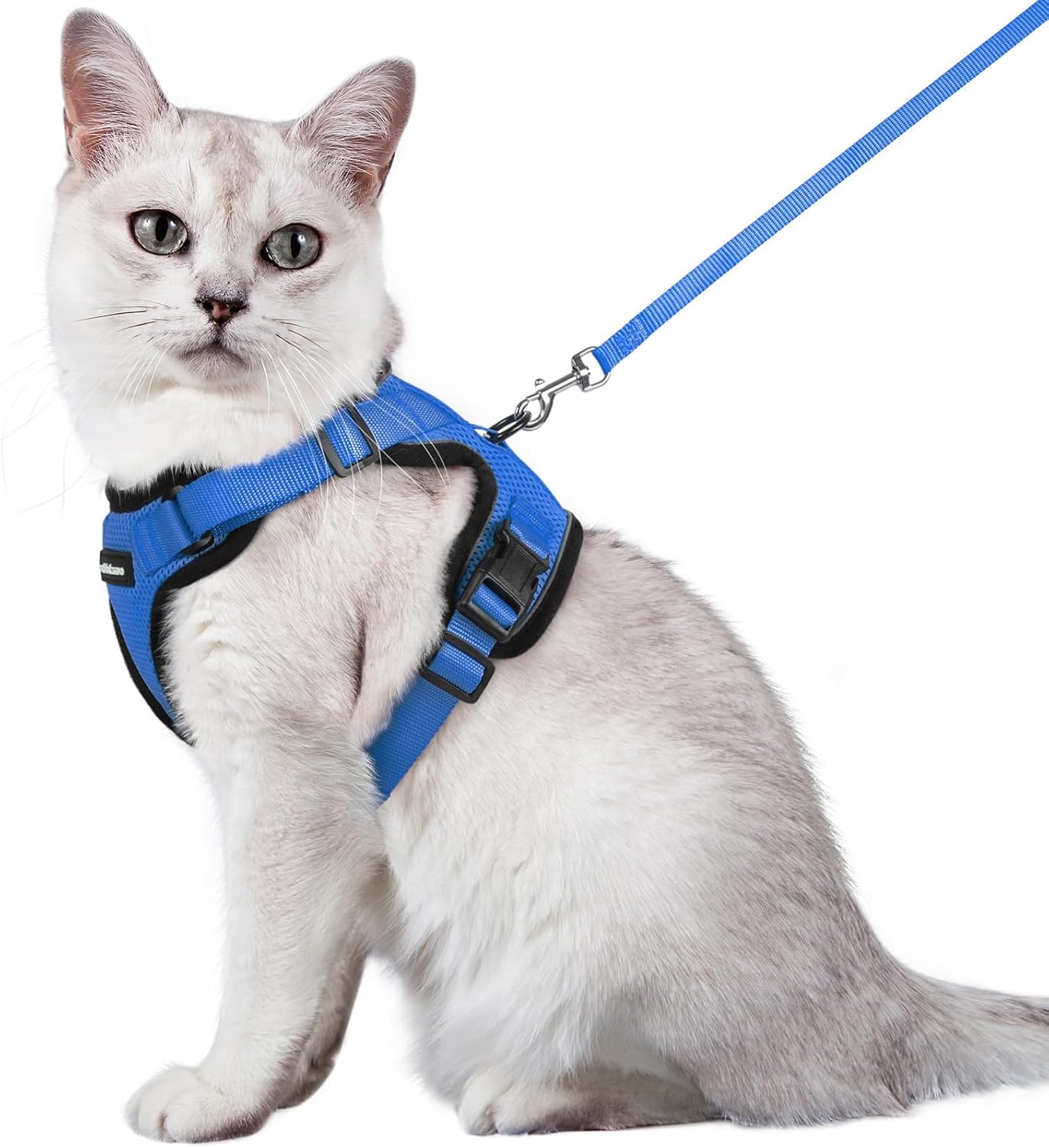 rabbitgoo Cat Harness and Leash for Walking, Escape Proof Soft Adjustable Vest Harnesses for Small Medium Cats, Easy Control Breathable Reflective Strips Jacket, XS, Black