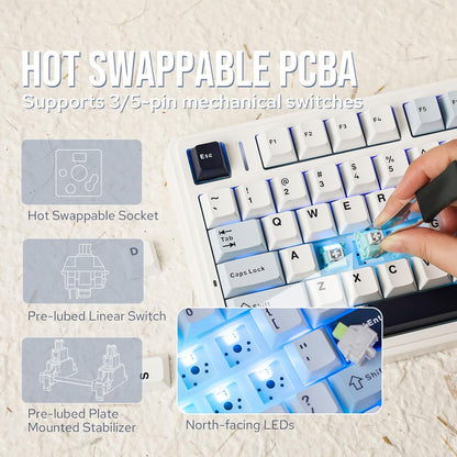 EPOMAKER x Aula F75 Gasket Mechanical Keyboard, 75% Wireless Hot Swappable Gaming Keyboard with Five-Layer Padding&Knob, Bluetooth/2.4GHz/USB-C, RGB (Black Gradient, LEOBOG Reaper Switch)