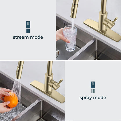 FORIOUS Kitchen Faucet with Pull Down Sprayer, Stainless Steel Single Handle Classic Sink Faucet 1 Or 3 Hole, Dual Function Faucet for Farmhouse, Camper, Laundry, Rv, Bar, Mattle Black