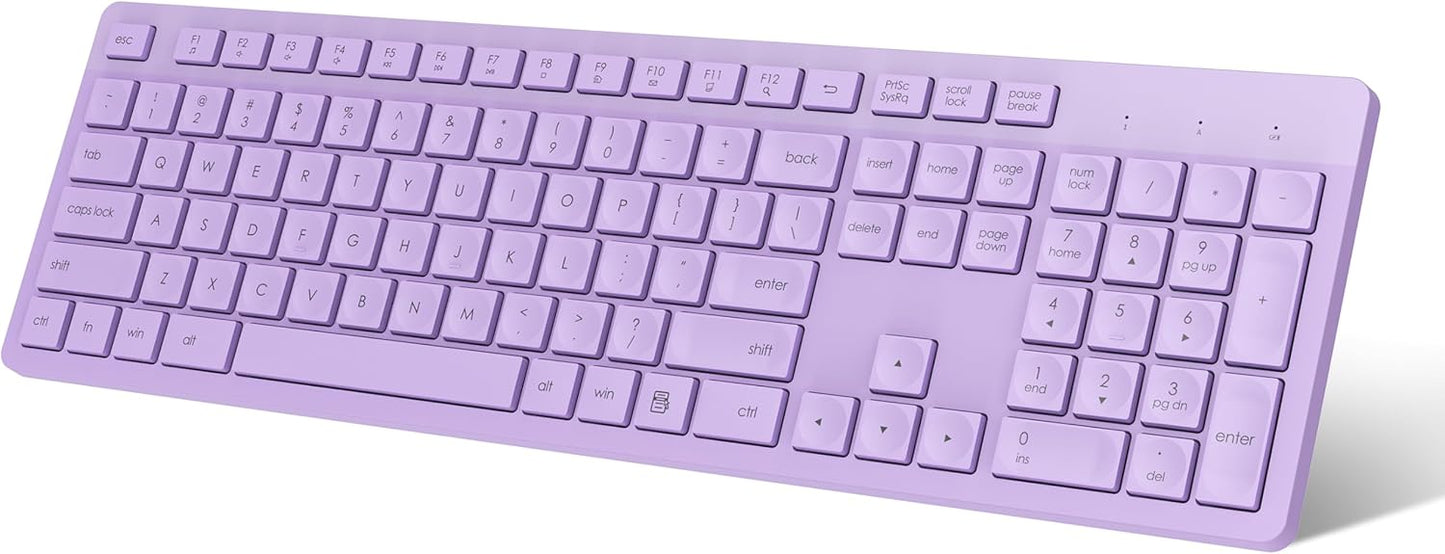 LeadsaiL Wireless Keyboard | Ergonomic Keyboard | Full-Sized Keyboard | Noiseless Keyboard | 2.4GHz Wireless Keyboard | USB Keyboard - PuriLite