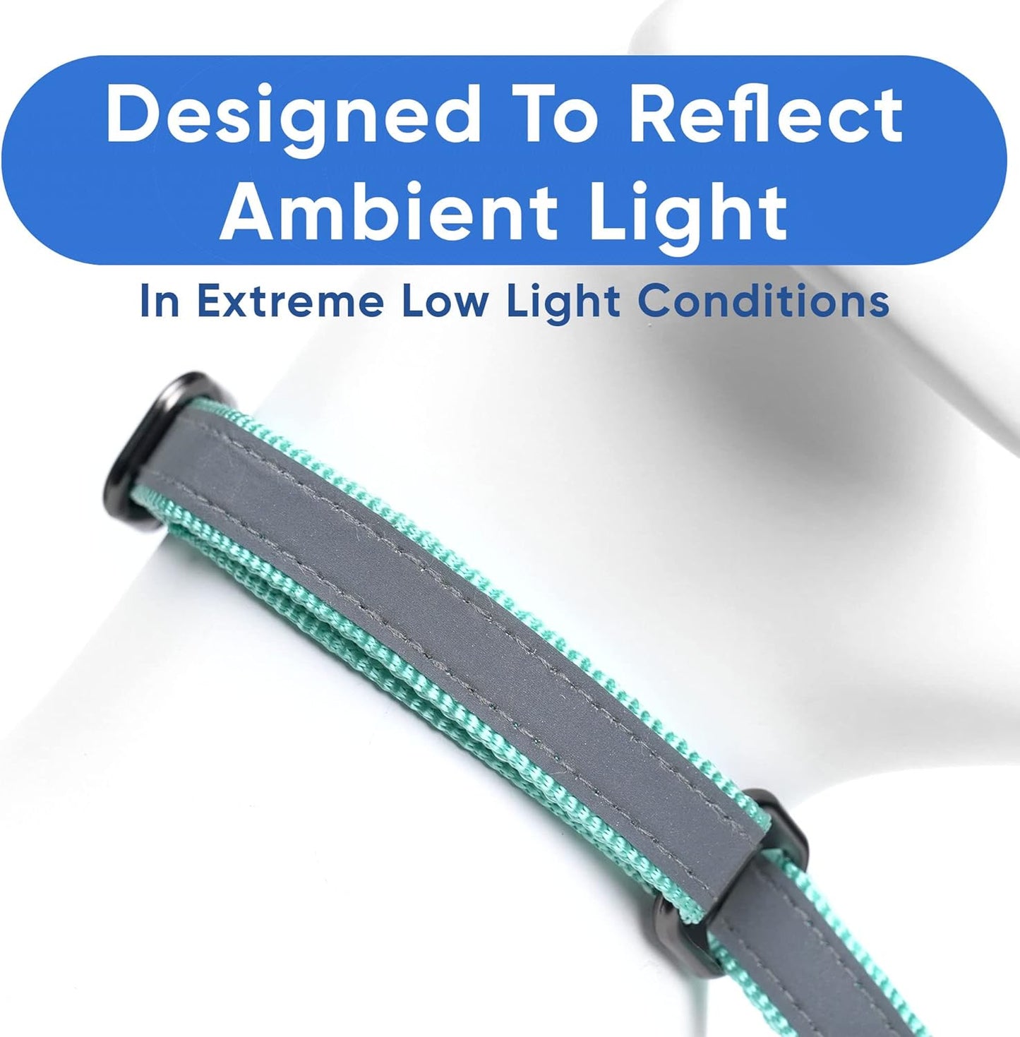 Pawtitas Chain Martingale Dog Collar Puppy Collar Reflective Dog Collar Training Dog Collar Behavioral Dog Chain Collar Collar Medium Dog Collar Green Dog Collar