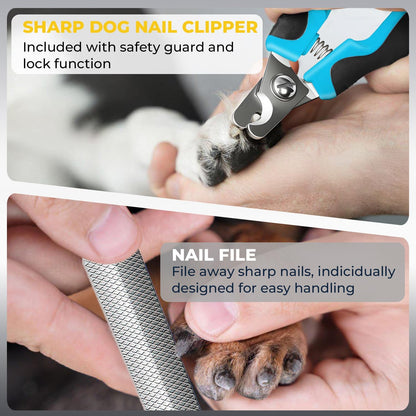 Dog Nail Grinder 6-Speed with LED Display, Dog & Cat Nail Clippers and Trimmers, Pet Nail Grinder with 2 LED Lights - Super Quiet Rechargeable Claw Trimmer for Large Medium Small Puppy Dogs/Cats