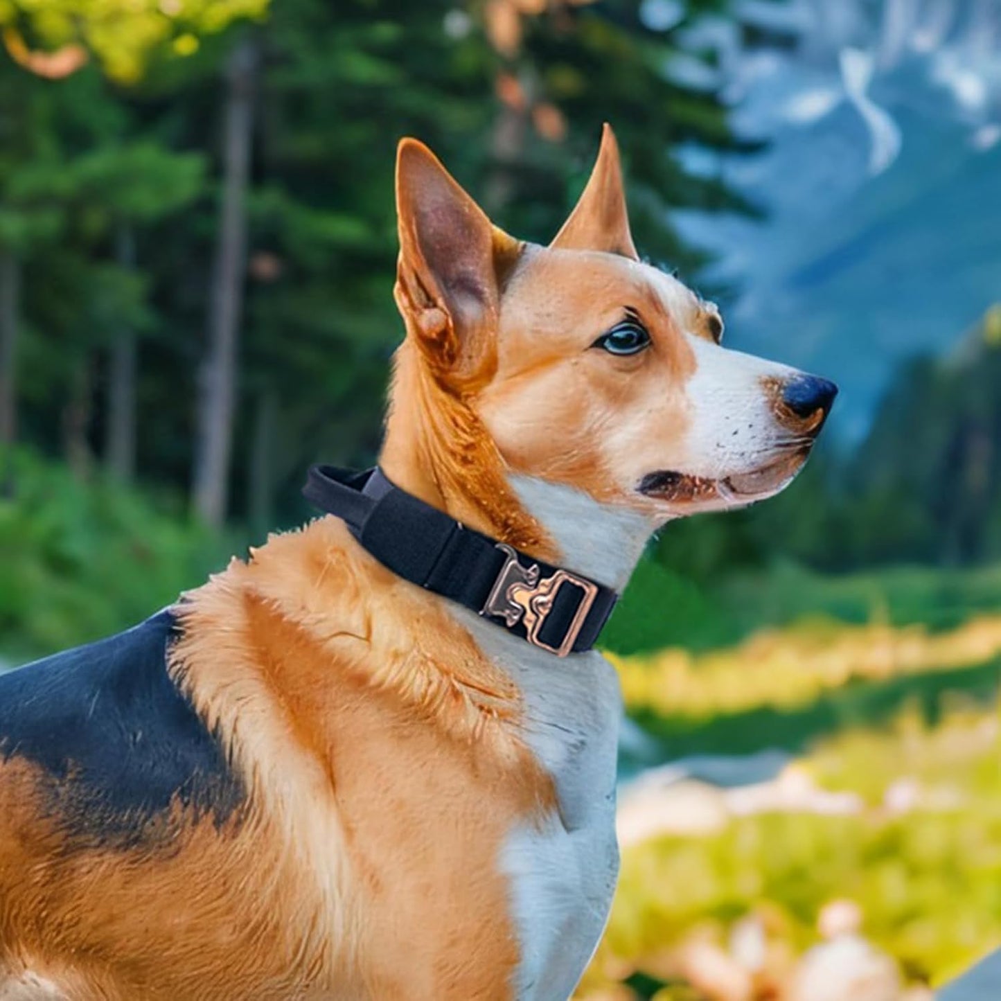 EXCELLENT ELITE SPANKER Tactical Dog Collar Nylon Adjustable K9 Collar Military Dog Collar Heavy Duty Metal Buckle with Handle(Coyote Brown-XL)